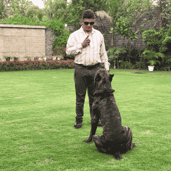 About Vaishnav Dog Trainer