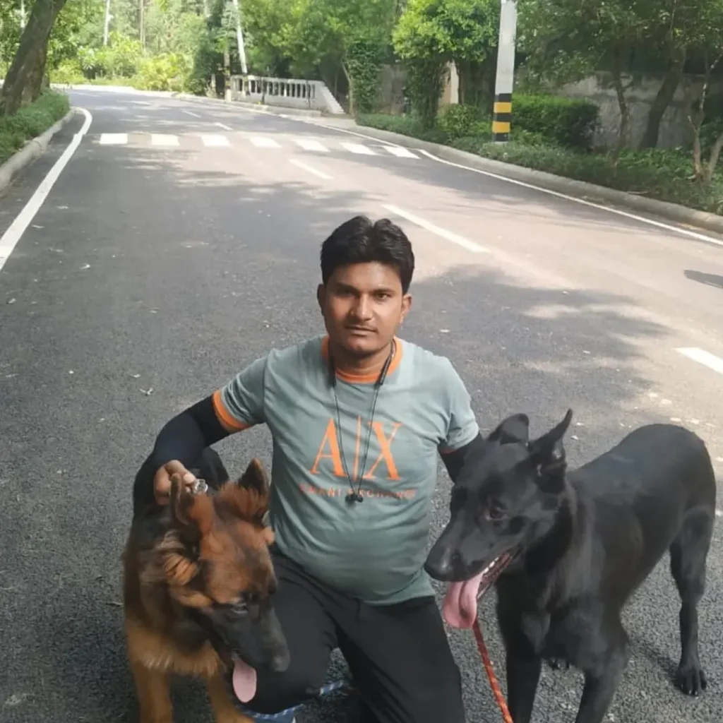 Certified Dog Trainer